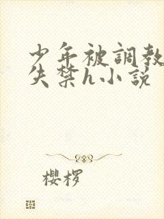 少年被调教爽到失禁h小说