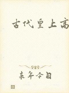 古代皇上高h文