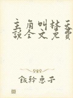 主角叫林天的小说全文免费阅读