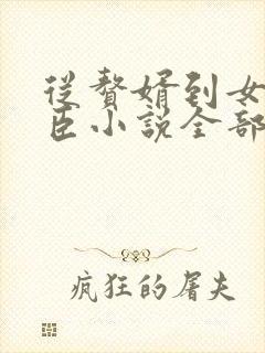 从赘婿到女帝宠臣小说全部章节