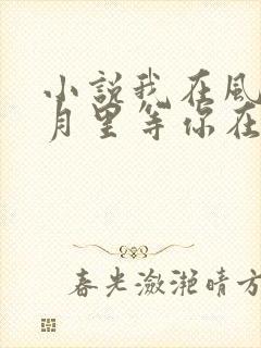 小说我在风花雪月里等你在线阅读