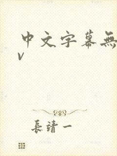 中文字幕无吗av