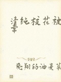 清纯校花被的日常