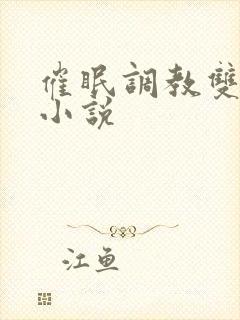 催眠调教双性人小说