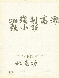 sm强制高潮调教小说