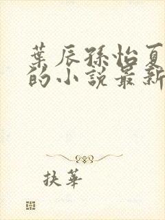 叶辰孙怡夏若雪的小说最新