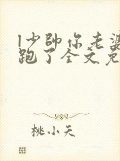 l少帅你老婆又跑了全文免费阅读封面