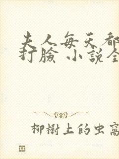 夫人每天都在线打脸 小说全集txt
