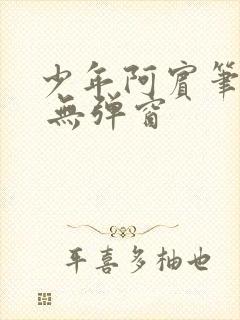 少年阿宾笔趣阁 无弹窗封面