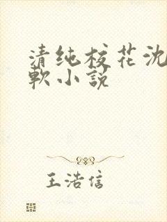 清纯校花沈越苏软小说