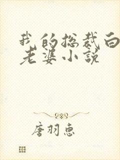 我的总裁白富美老婆小说