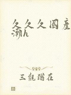 久久久国产h高潮h