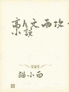 高h文两攻一受小说