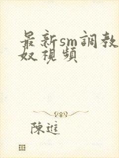 最新sm调教男奴视频