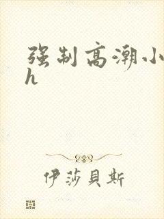 强制高潮小说高h封面