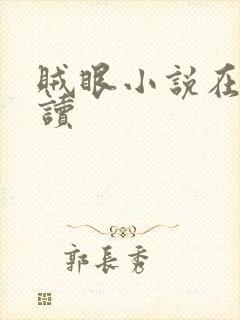 贼眼小说在线阅读