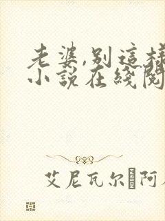 老婆,别这样 小说在线阅读