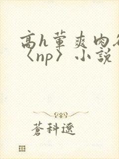 高h荤爽肉欲文〈np〉小说