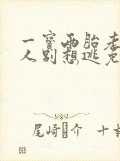 一宝两胎老婆大人别想逃免费阅读