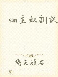 sm主奴训诫