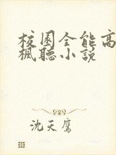 校园全能高手季枫听小说