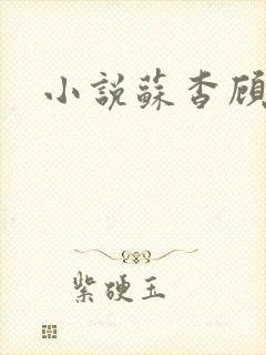 小说苏杳顾君亦