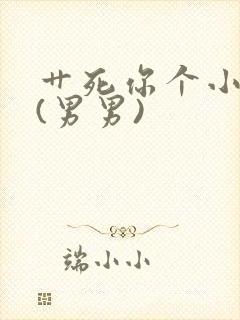 艹死你个小骚货(男男)