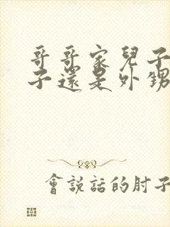 哥哥家儿子是侄子还是外甥封面