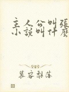 主人公叫张易的小说叫什么名字封面