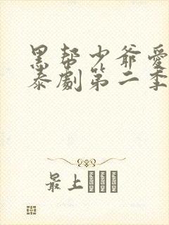 黑帮少爷爱上我泰剧第二季