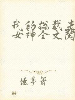 我的总裁老婆是女神全文阅读