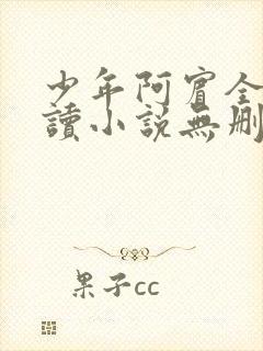少年阿宾全文阅读小说无删减封面
