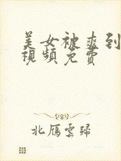 美女被爽到呻吟视频免费