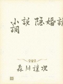 小说 隐婚请低调