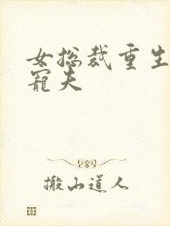 女总裁重生悔过宠夫