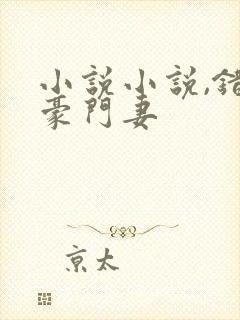 小说小说,错嫁豪门妻