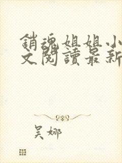 销魂姐姐小说全文阅读最新章节列表