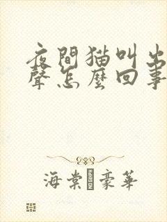 夜间猫叫出惨烈声怎么回事