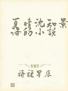 夏晴沈知景白洛洛的小说