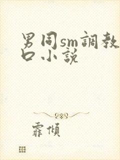 男同sm调教重口小说