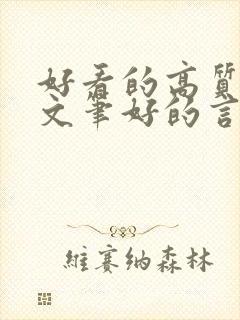 好看的高质量的文笔好的言情