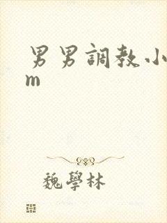 男男调教小说sm