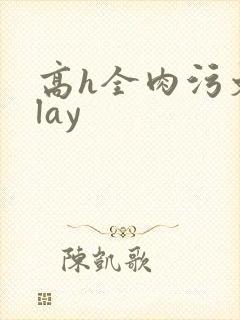 高h全肉污文play