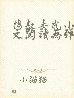 杨叔秦岚小说全文阅读无弹窗