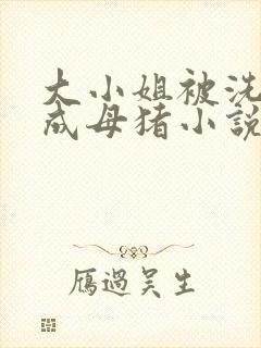 大小姐被洗脑变成母猪小说免费阅读封面