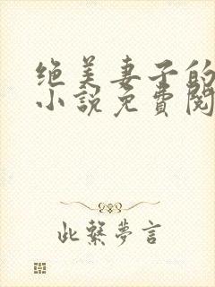 绝美妻子的秘密小说免费阅读