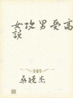 女攻男受高h小说