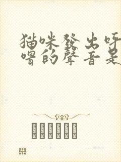 猫咪发出呼噜呼噜的声音是怎么回事