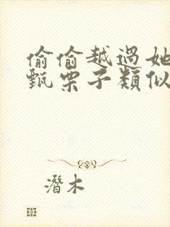 偷偷越过她by甄栗子类似小说