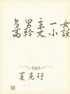 多男主一女主的高干文小说封面